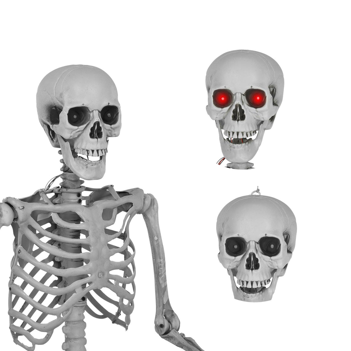 5.4 Ft Lighted Life Size Plastic Skeleton with Movable Joint Q6029