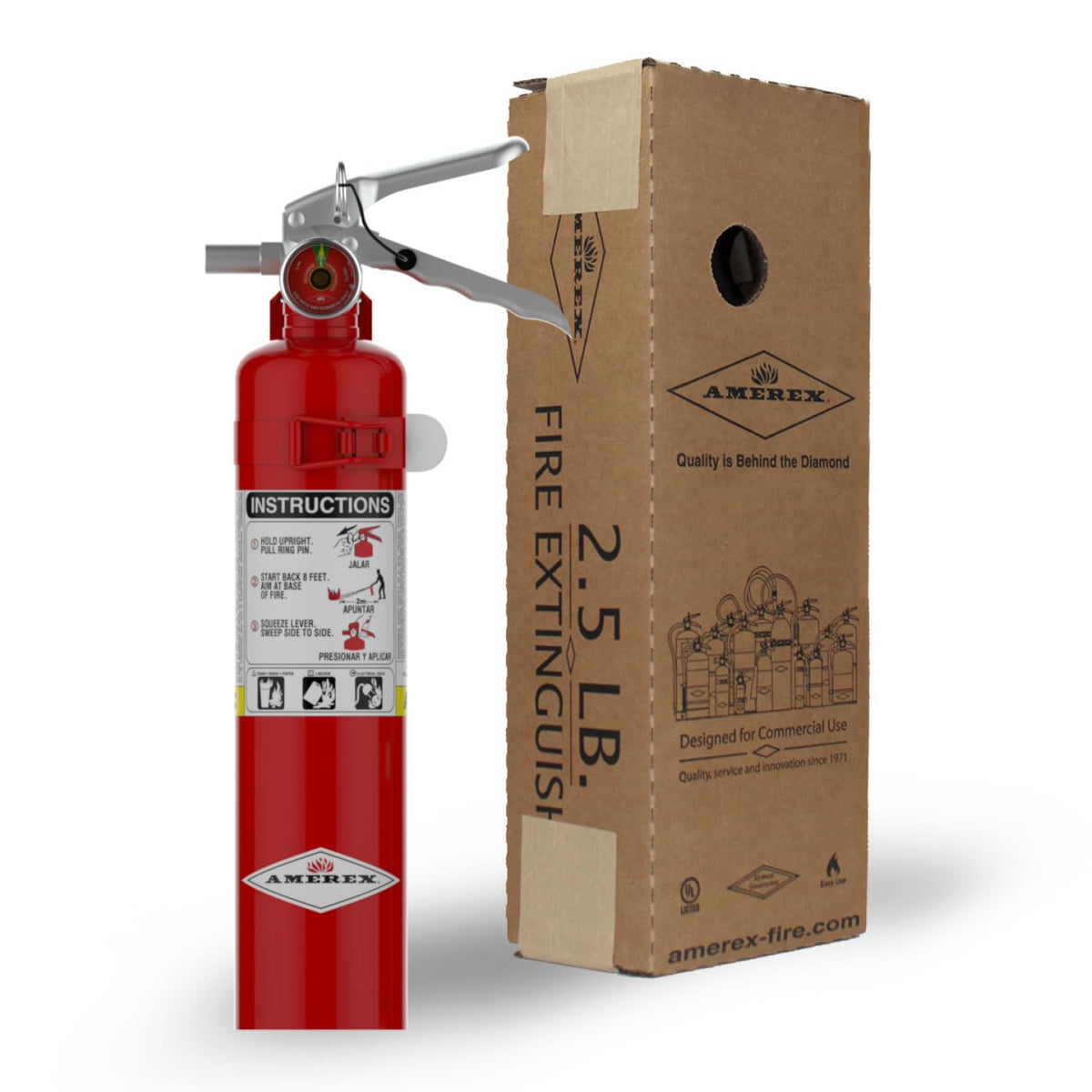 2.5 lbs ABC Dry Chemical Fire Extinguisher A6766
