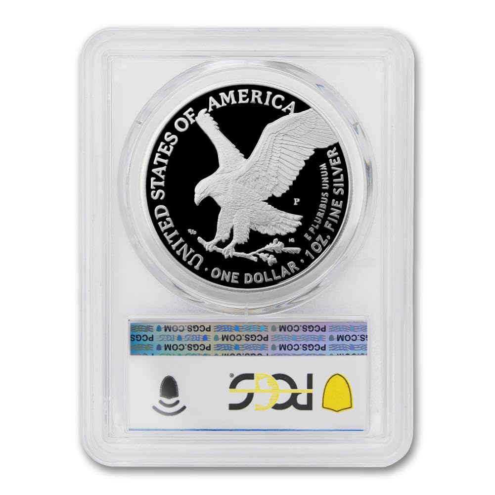 1 oz American Silver Eagle Coin N135