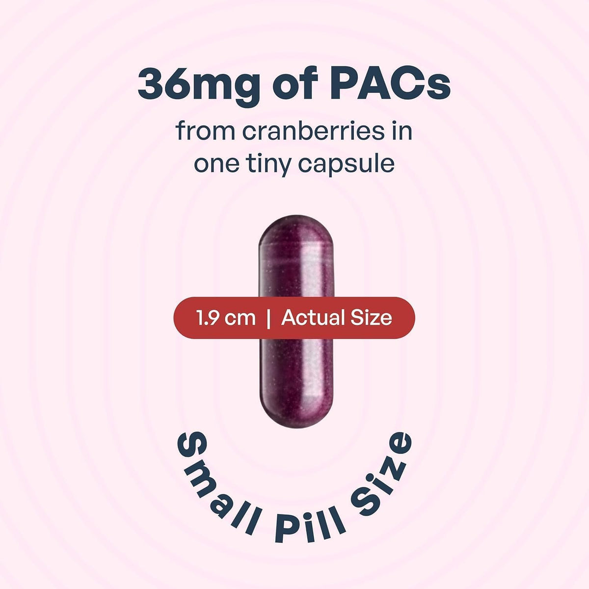 Cranberry PACs 36 mg 30 Capsules Y82404