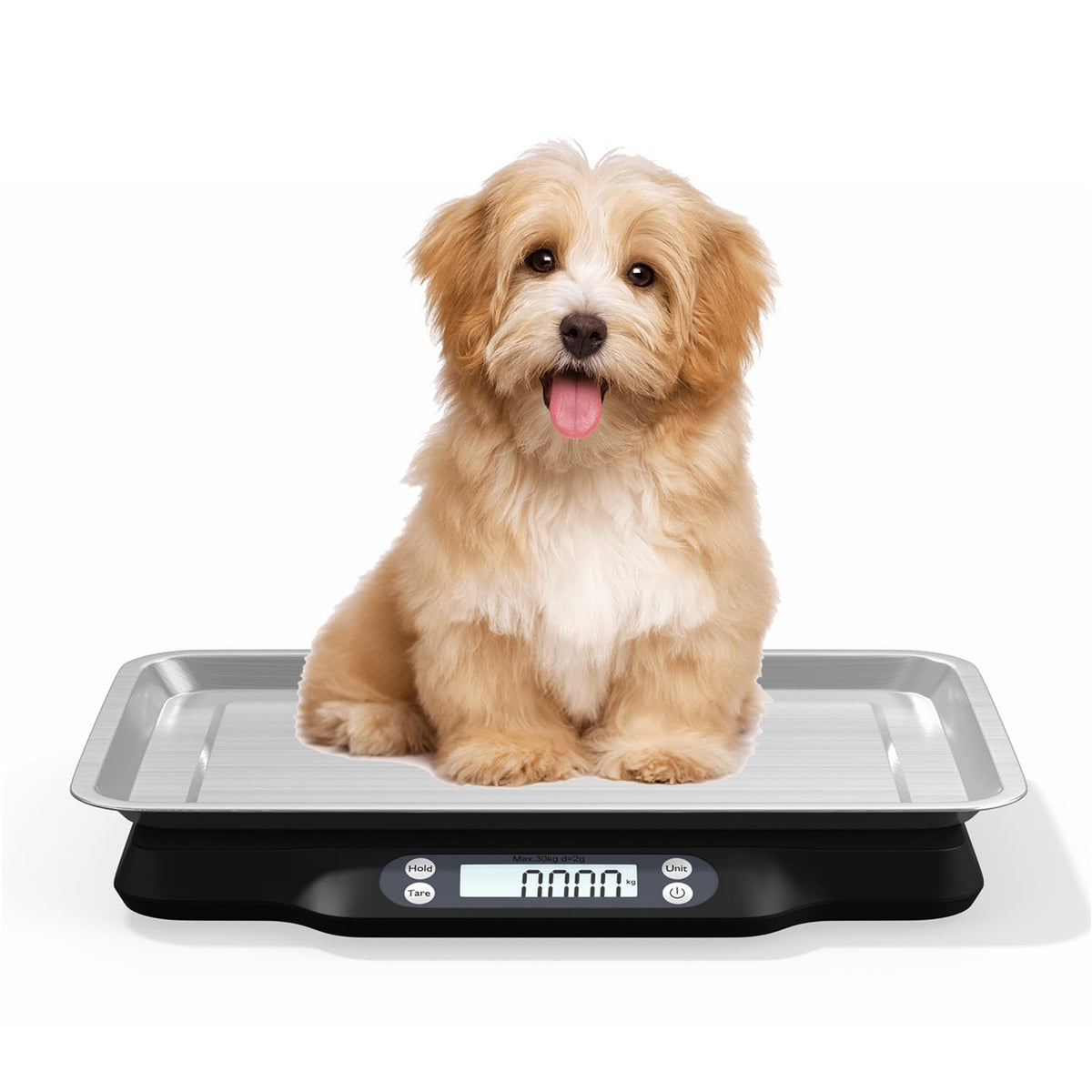 Digital Little Animal Precision Scale 30kg/2g P16303