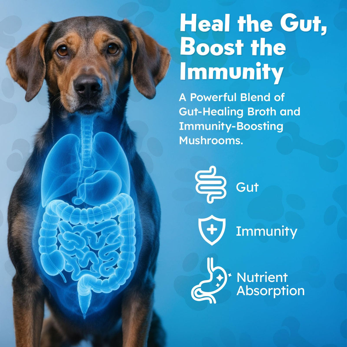 Beef Bone Broth Powder for Dogs W876997