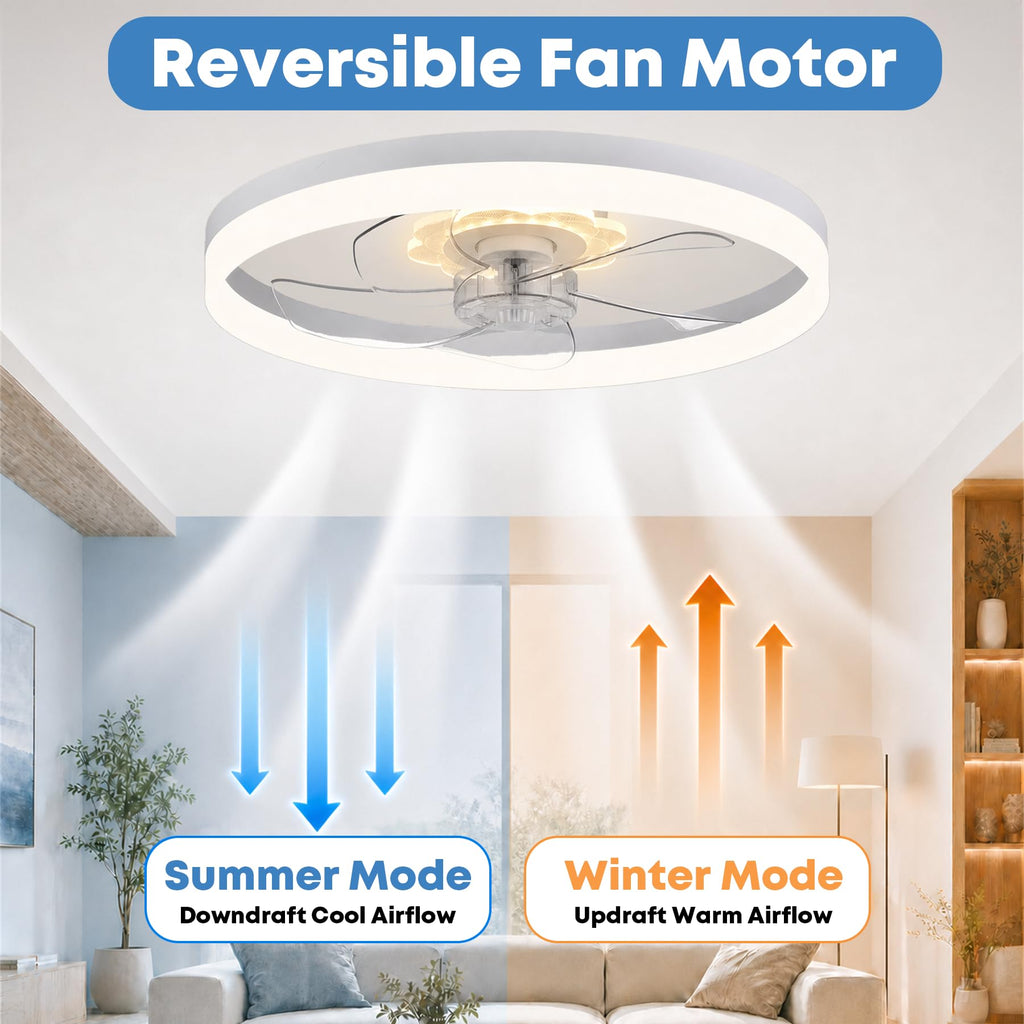 20'' Ceiling Fan with Light and Remote C772