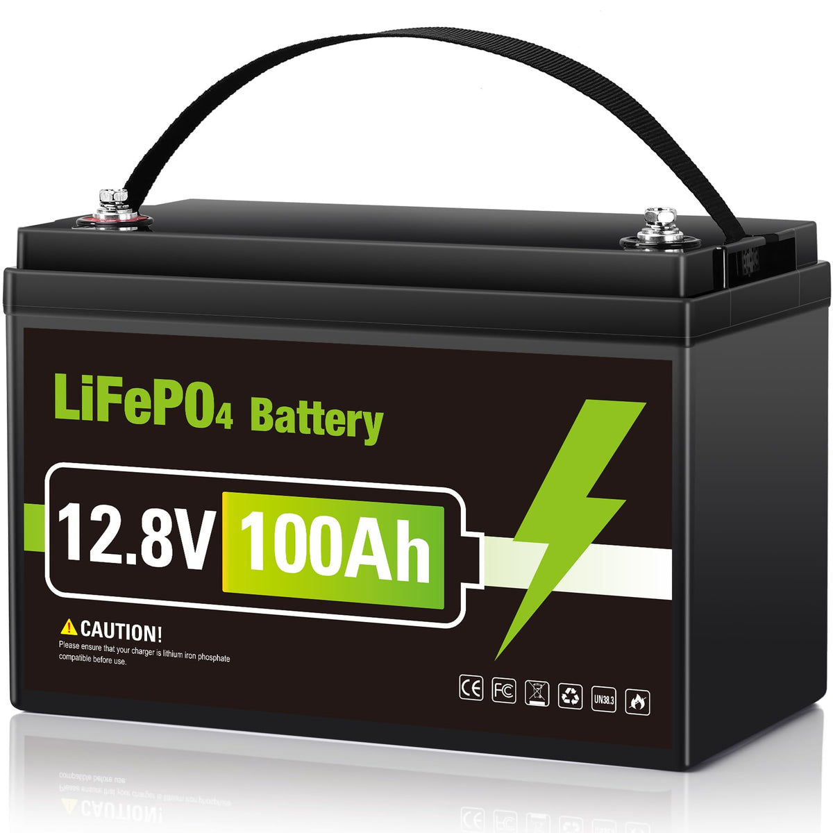 12V 100AH LiFePO4 Lithium Battery P8687