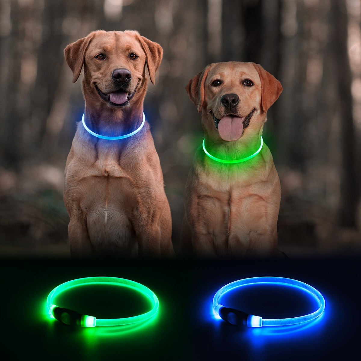 2 Packs Light Up Dog Collar E674151