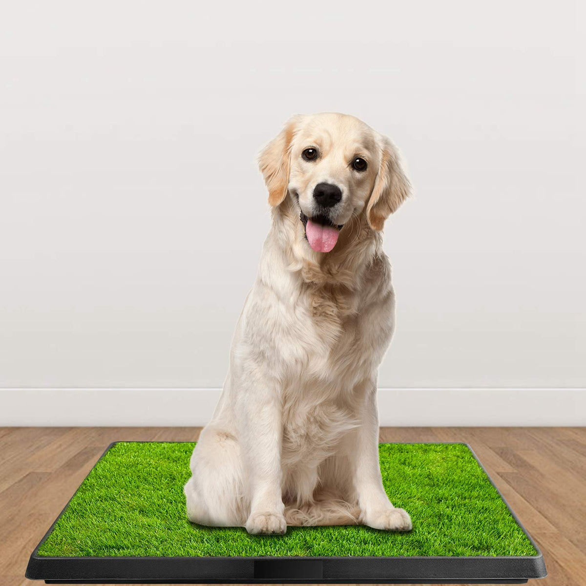 Indoor Dog Toilet Puppy Training Pad O703646