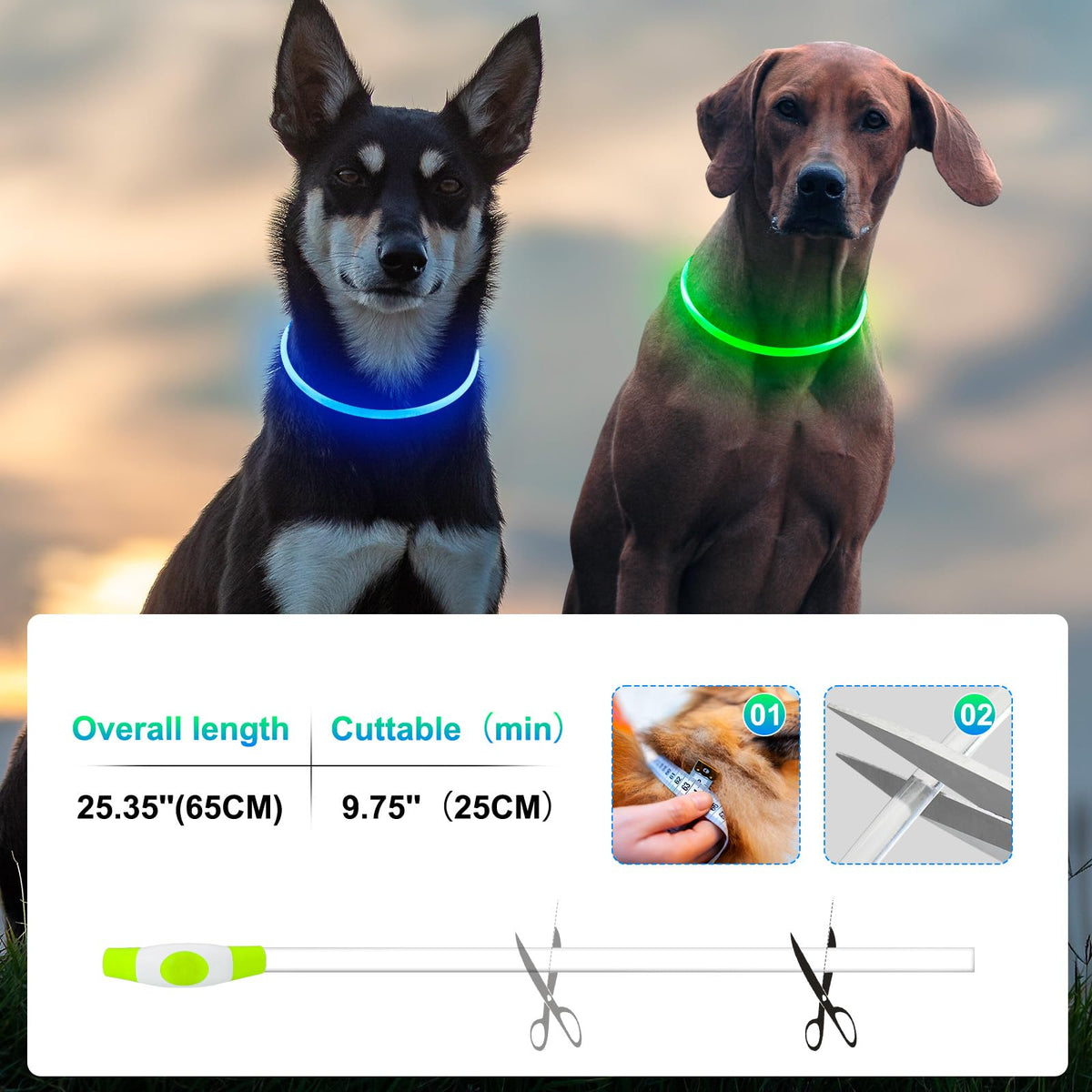 2 Packs Light Up Dog Collar E674151
