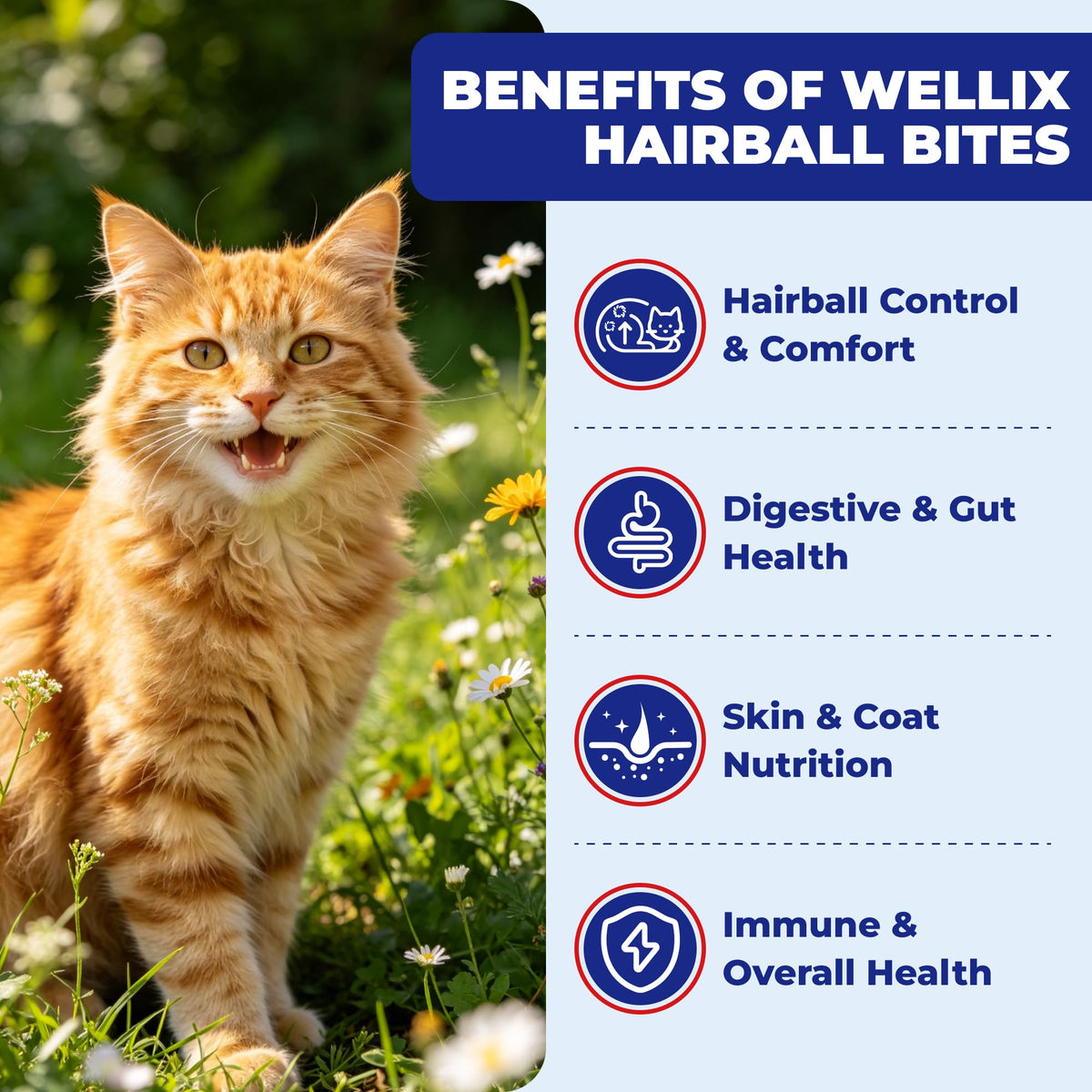10.58 oz Hairball Bites for Cats Q602140