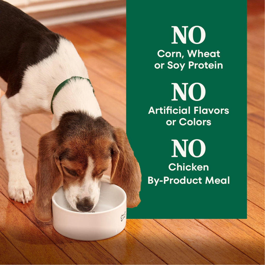 Large Breed Puppy Dry Dog Food Chicken 13 lb D90109