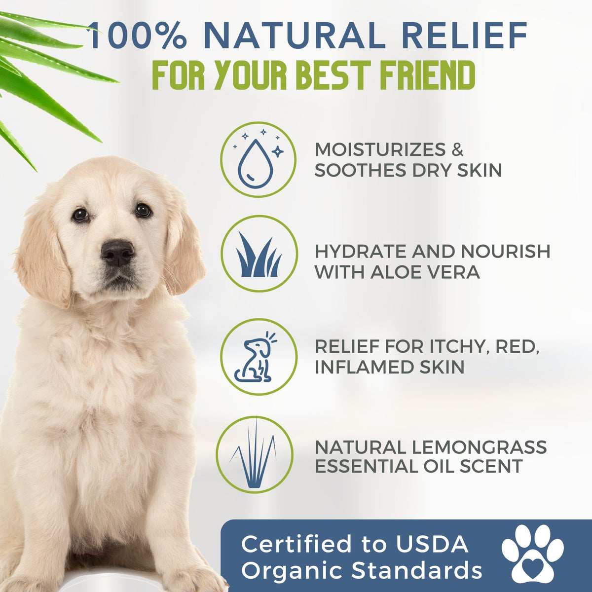 Certified Organic Hypoallergenic Dog Shampoo with Aloe and Lemongrass 16 oz E846619