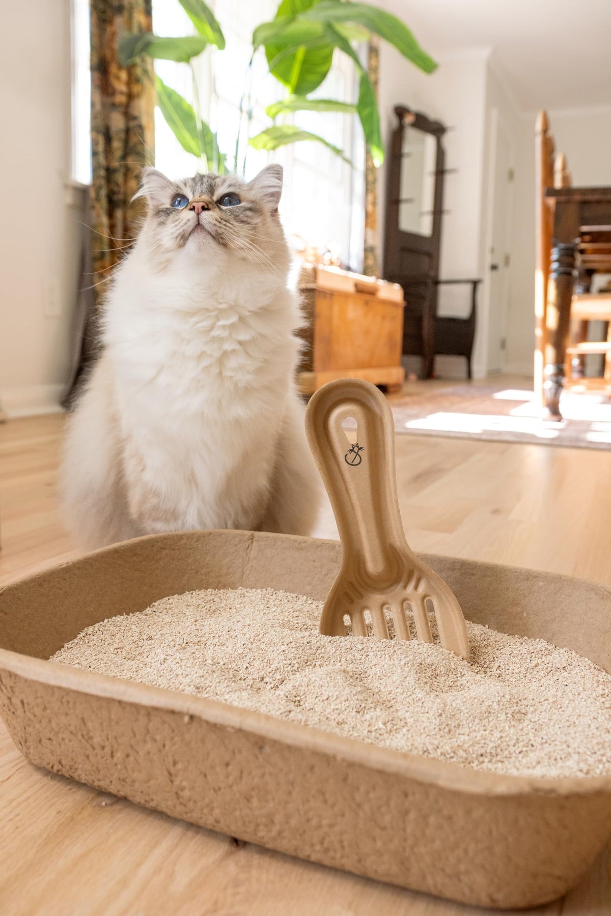 Disposable Cat & Rabbit Litter Scoops 6-Pack Q75292