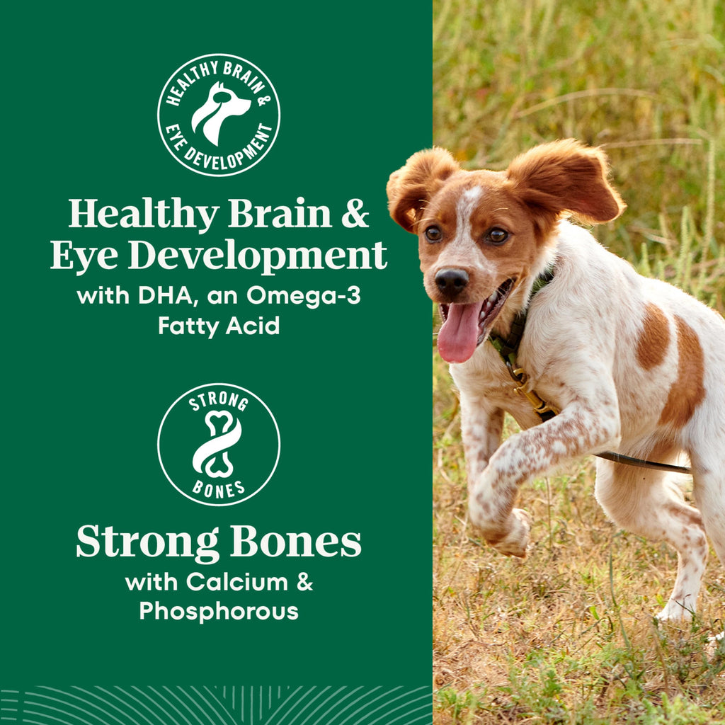 Large Breed Puppy Dry Dog Food Chicken 13 lb D90109