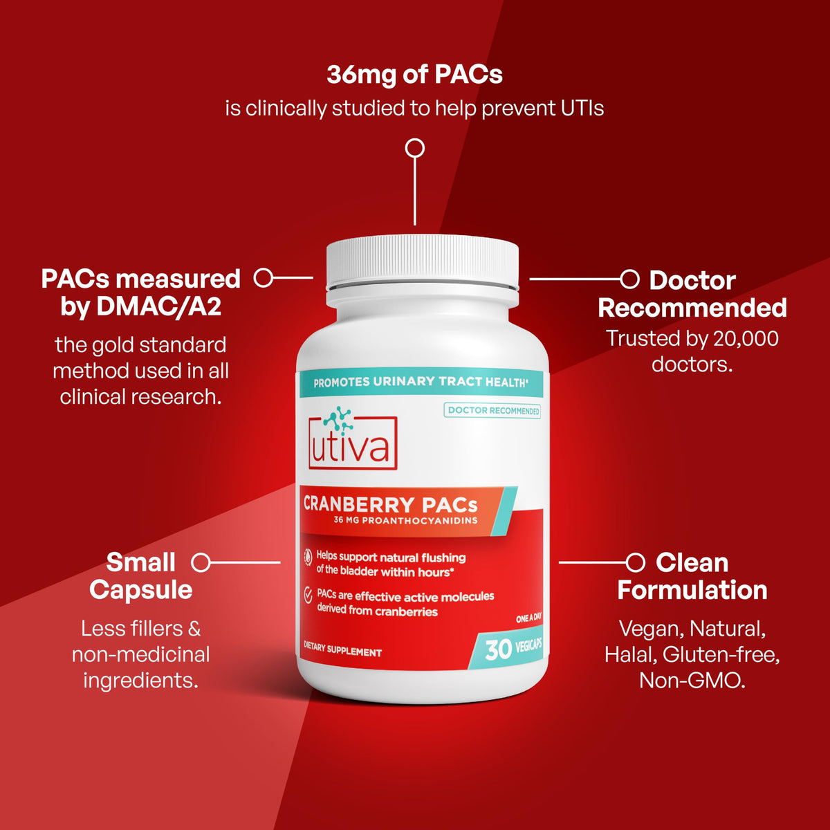 Cranberry PACs 36 mg 30 Capsules Y82404