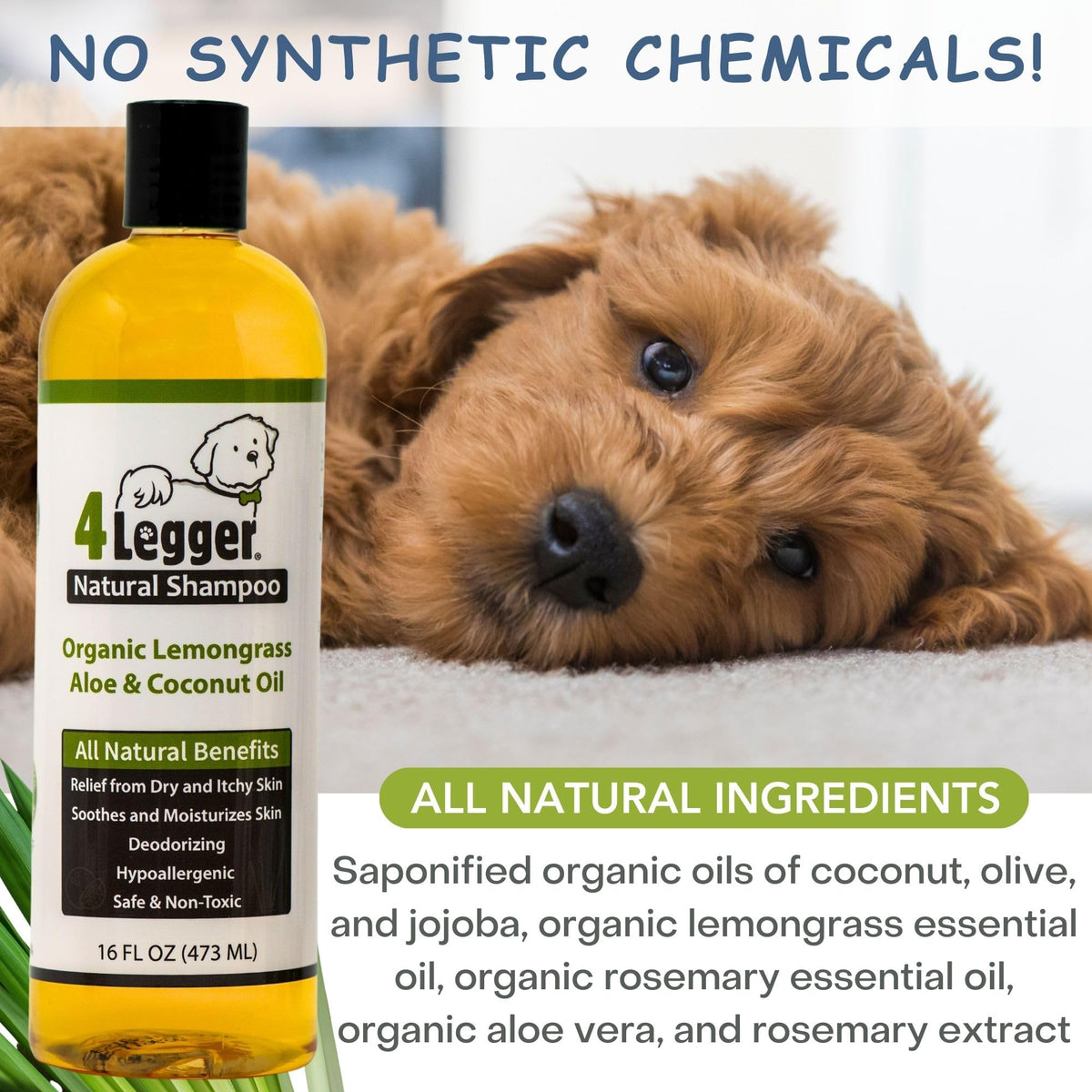 Certified Organic Hypoallergenic Dog Shampoo with Aloe and Lemongrass 16 oz E846619