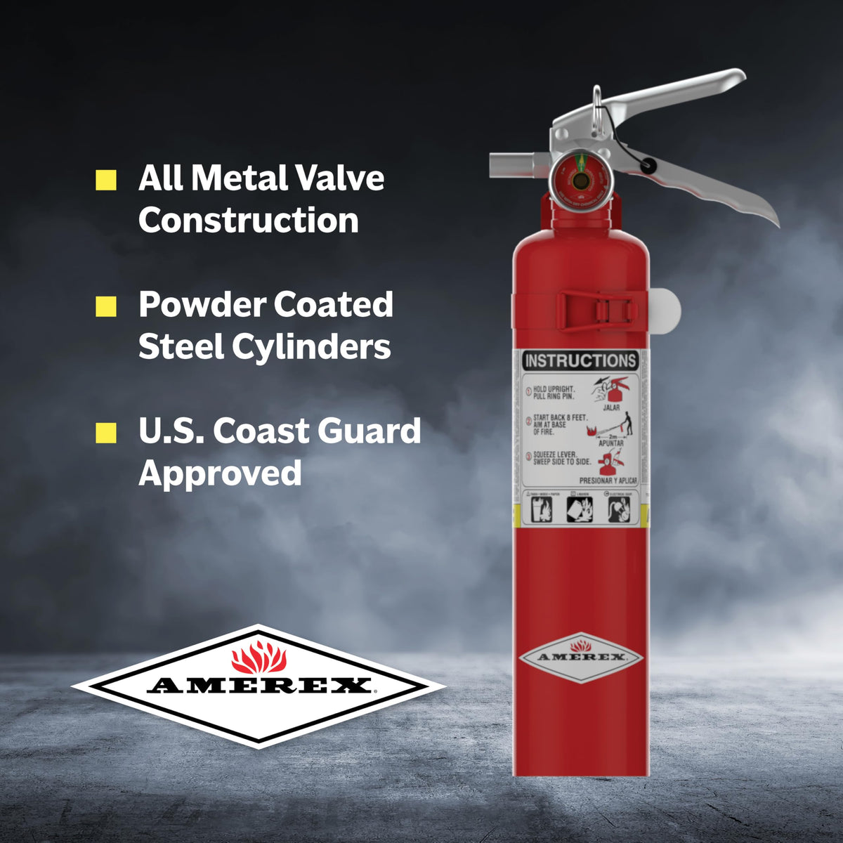 2.5 lbs ABC Dry Chemical Fire Extinguisher A6766