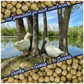 Waterfowl Feed 20 lb Bag Floating Pellets J874