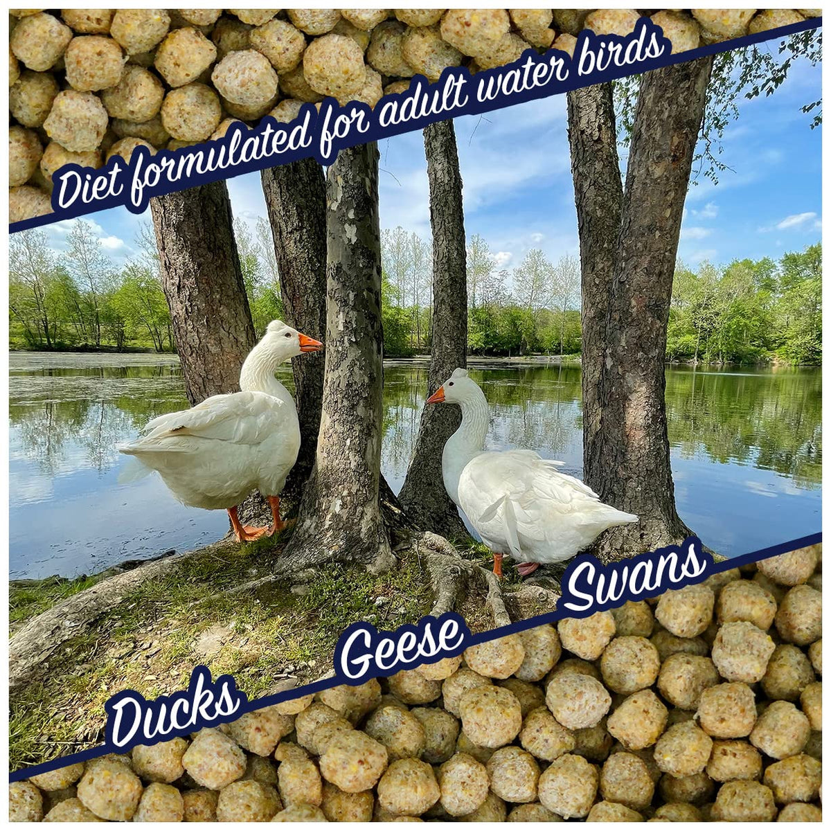 Waterfowl Feed 20 lb Bag Floating Pellets J874