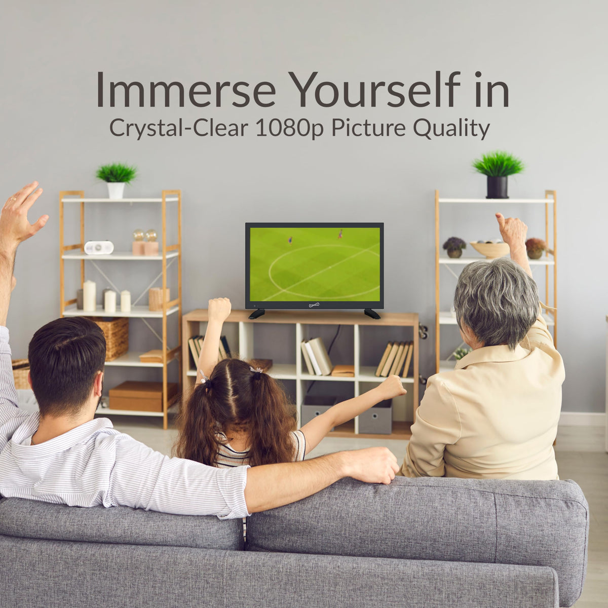 18.5 inch 1080p Smart LED TV P560